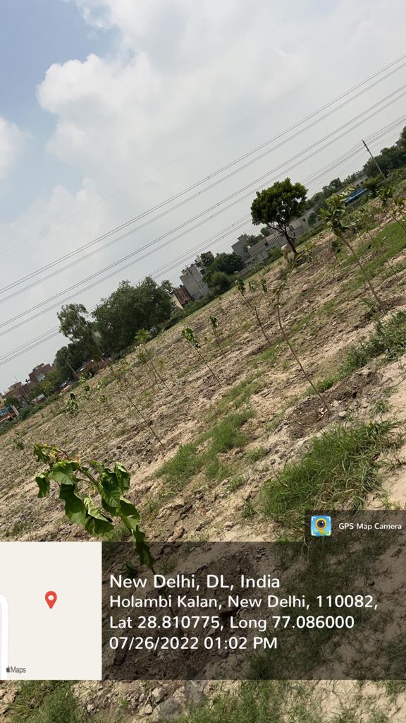 Compensatory Afforestation